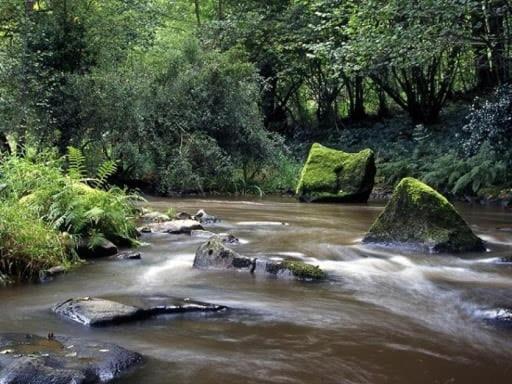 Glamping Des 2 Marguerites Hotel Bazoches-au-Houlme Kültér fotó